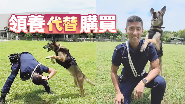 警員領養退役警犬 「國際狗狗日」呼籲勿棄養