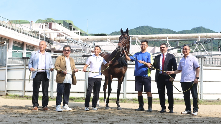 有片｜三屆馬王金鎗六十光榮退役 沙田馬場(chǎng)9·22舉辦歡送會(huì)